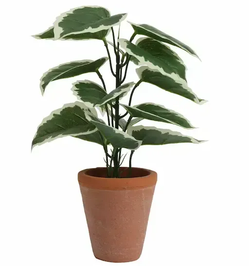 Artificial Plant in a Terracotta Pot