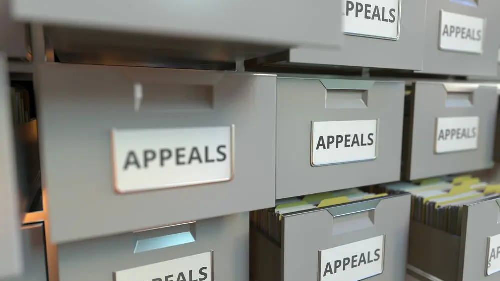 Boxes of decision appeals