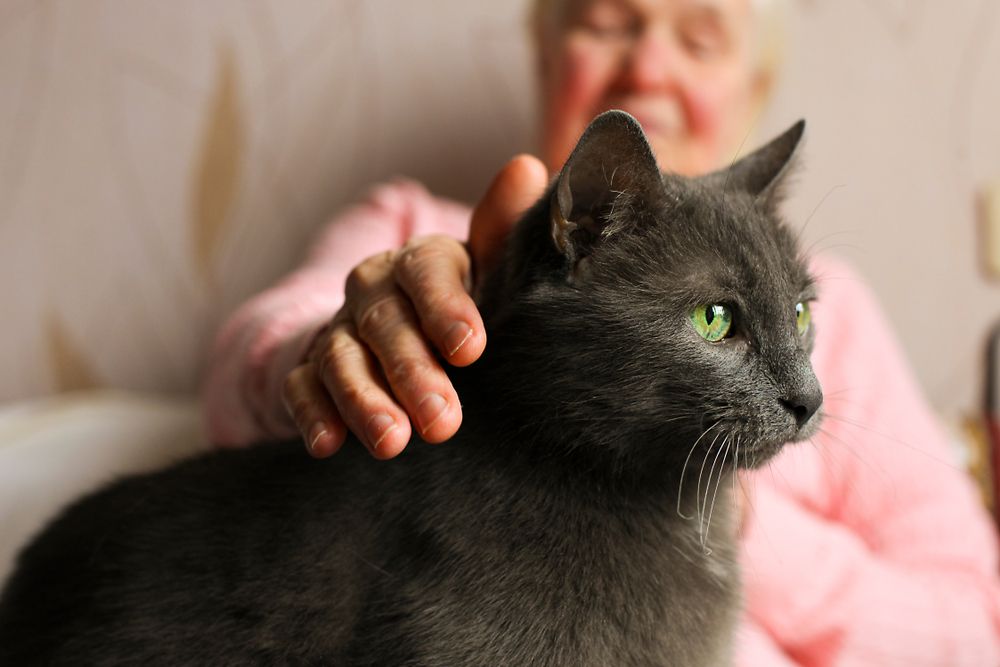 pets-in-care-homes-can-you-take-them-lottie