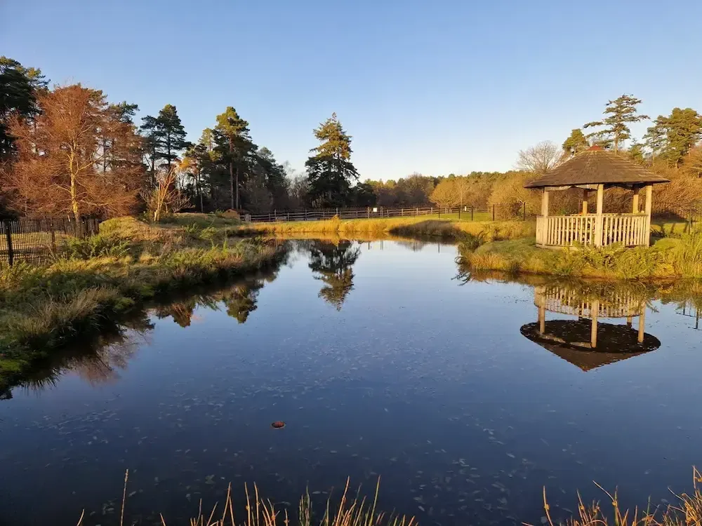 Huntington House Care Home pond